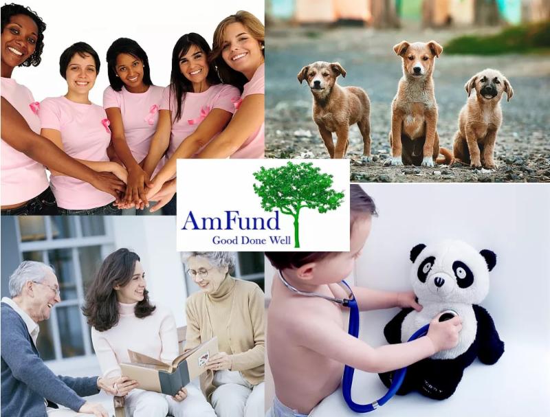 AMFund